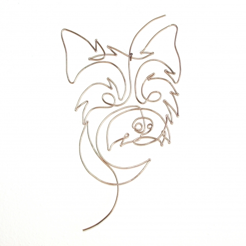 PSÍ PORTRÉTY - Jorkšírský teriér