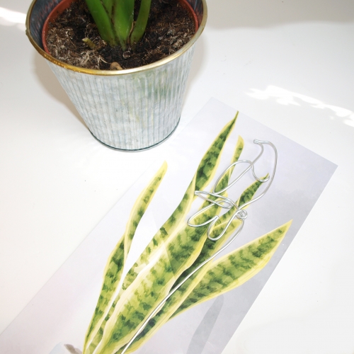 Ozdobný zápich do pokojovky - holubička