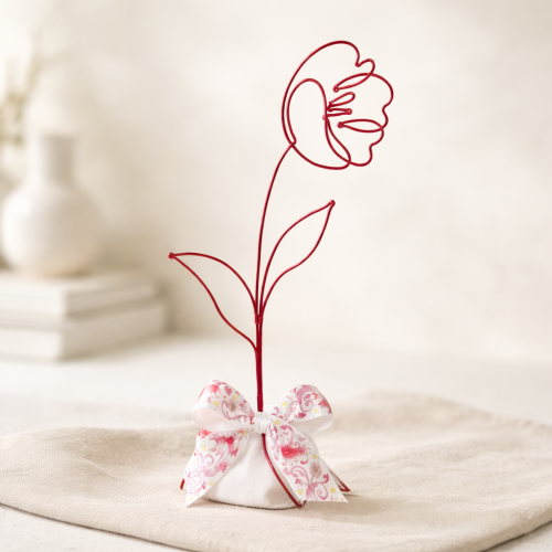 Tulipán rozkvetlý na oblázku - purpurový