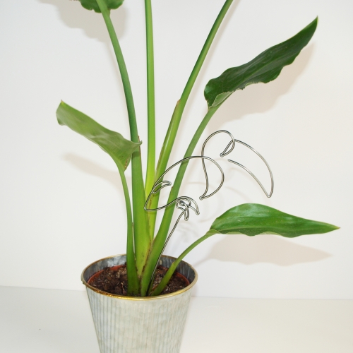 Ozdobný zápich do pokojovky - TUKAN